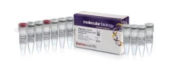RevertAid First Strand cDNA Synthesis Kit